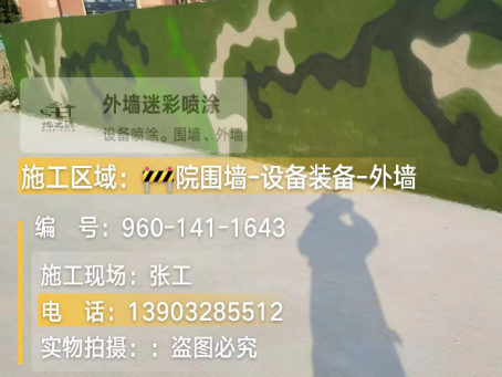 肇庆 迷彩漆喷涂价格（按平方米计费）