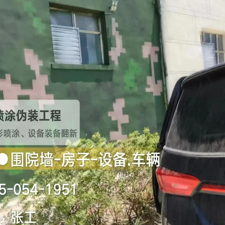 肇庆数码迷彩漆施工